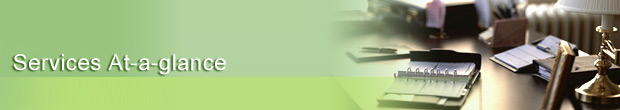 Business Financial Services At-a-glance